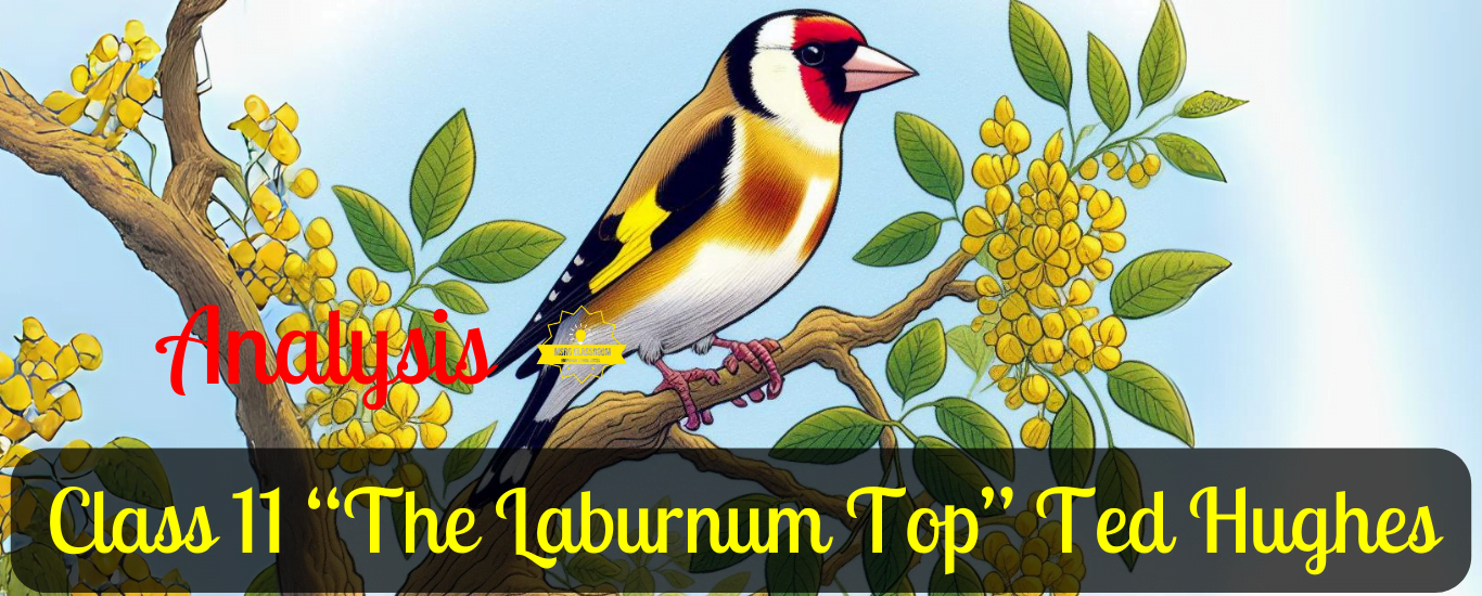the laburnum top,the laburnum top explanation,ted hughes,the laburnum top extra questions