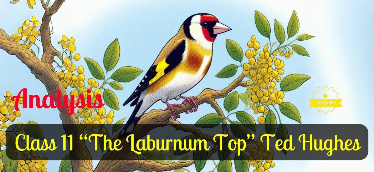 Class 11 “The Laburnum Top” Ted Hughes (OPT)