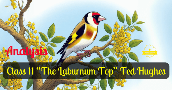 Class 11 “The Laburnum Top” Ted Hughes (OPT)