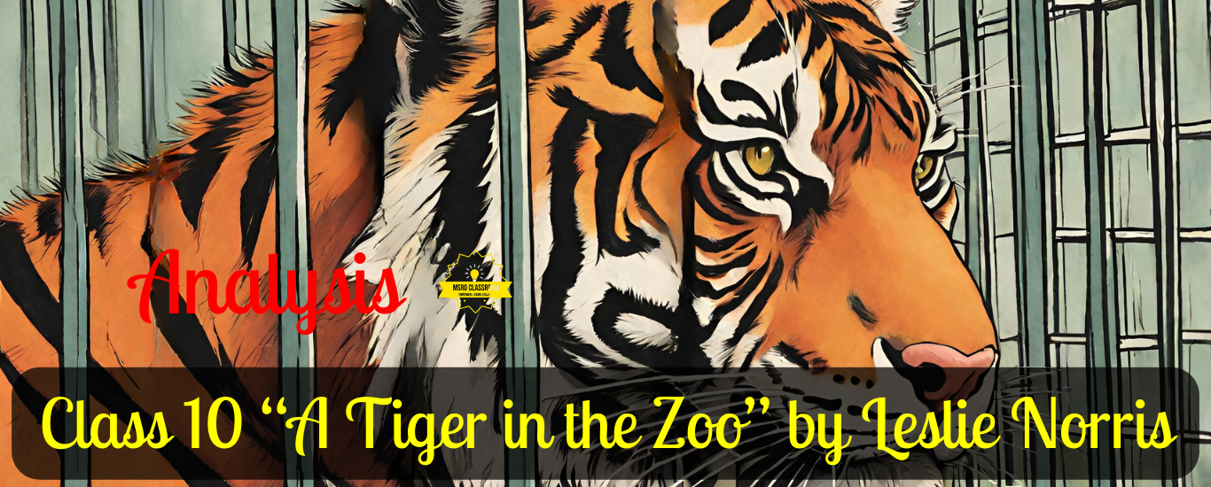 Class 10 “A Tiger in the Zoo” by Leslie Norris