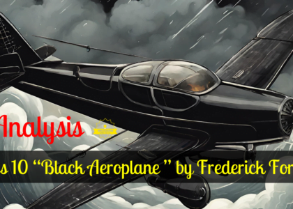 Black Aeroplane,Frederick Forsyth