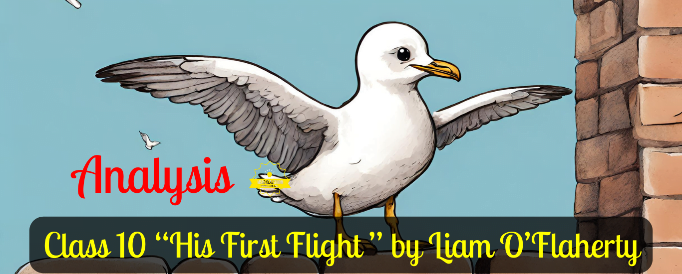 Class 10 “His First Flight ” by Liam O’Flaherty