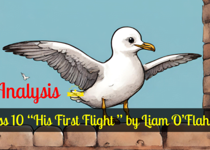 His First Flight,Two Stories About Flying,Young seagull,Liam O' Flaherty