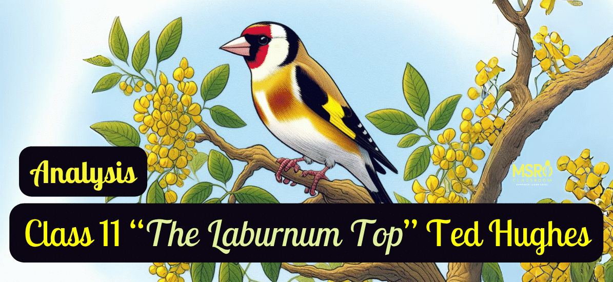 Class 11 “The Laburnum Top” Ted Hughes