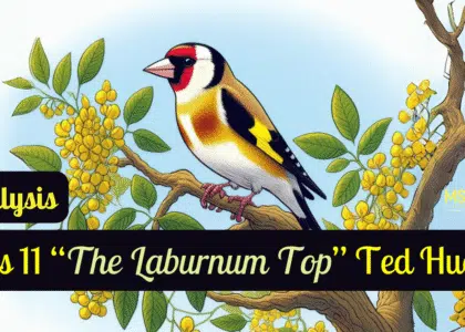 Class 11 “The Laburnum Top” Ted Hughes