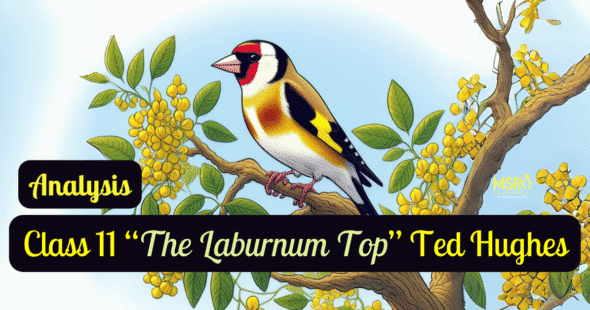 Class 11 “The Laburnum Top” Ted Hughes